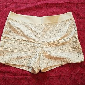 NWT Ann Taylor Loft Riviera Eyelet Short